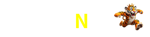 Logo da 9N